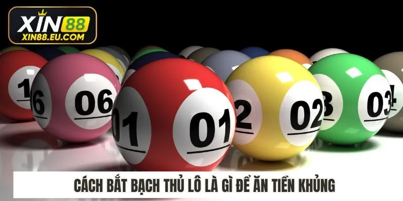 Cách bắt bạch thủ lô là gì để ăn tiền khủng