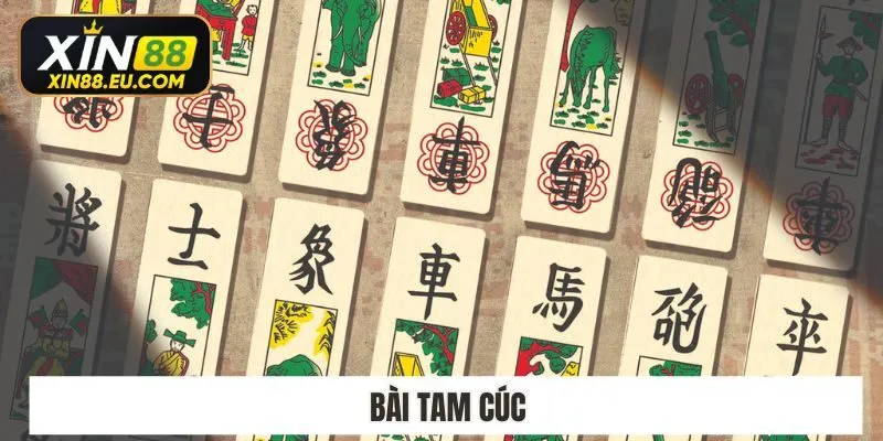 Kinh Nghiệm Chơi Bài Tam Cúc Xin88 Người Mới Cần Nắm Vững