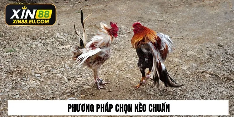 Phương pháp chọn kèo chuẩn