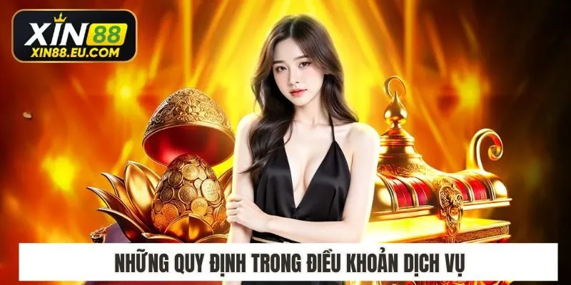 Những quy định trong điều khoản dịch vụ
