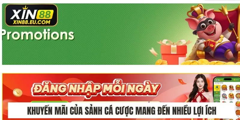 Khuyến mãi của sảnh cá cược mang đến nhiều lợi ích