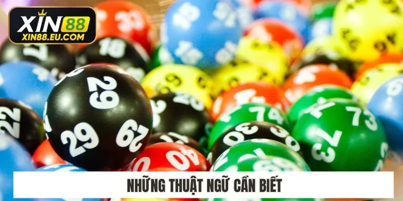 Những thuật ngữ cần biết