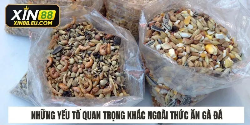 Những yếu tố quan trọng khác ngoài thức ăn gà đá