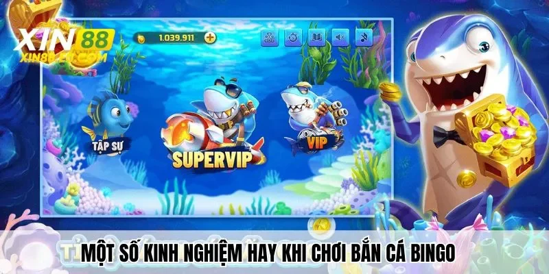 Một số kinh nghiệm hay khi chơi bắn cá Bingo