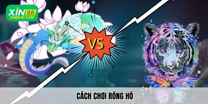 Top 5 Cách Chơi Rồng Hổ Xin88 Ăn Tiền Khủng Cực Nhanh Chóng