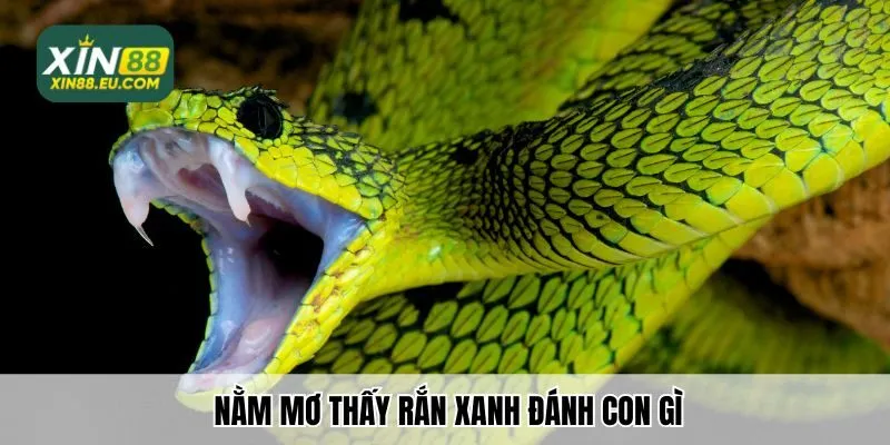 Xin88 Luận Giải Nằm Mơ Thấy Rắn Xanh Đánh Con Gì Cho Người Mới