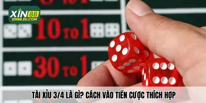 Tài xỉu 3/4 là gì? Cách vào tiền cược thích hợp
