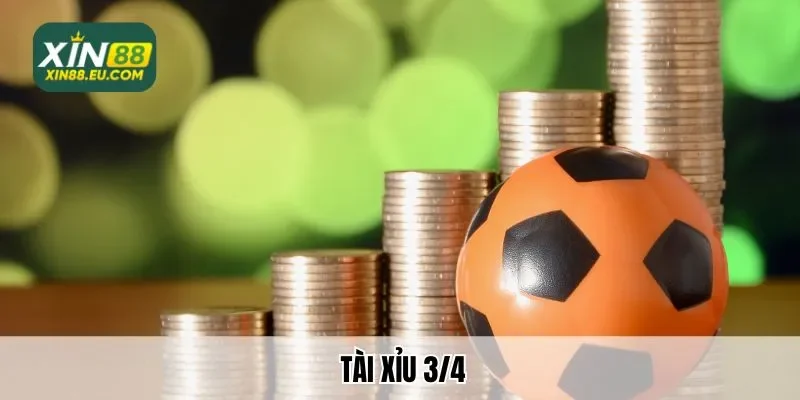 Tài xỉu 3/4 – Xin88 Bật Mí Thông Tin Về Tỷ Lệ Cá Cược Hấp Dẫn