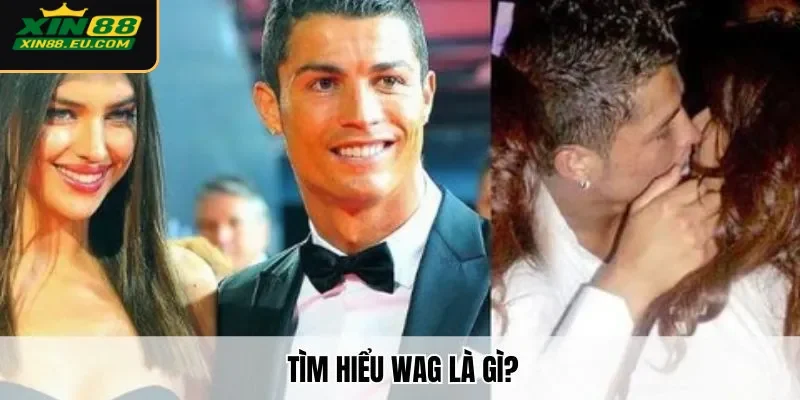 Tìm hiểu WAG là gì?